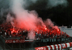 Bengalen im E-Block