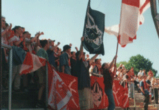 Support in Jena